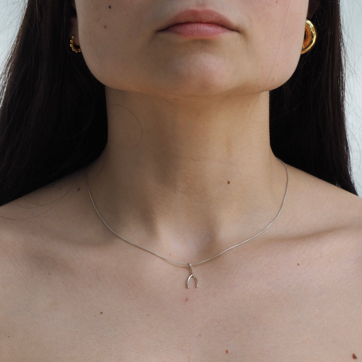 Silver Necklace & Charms