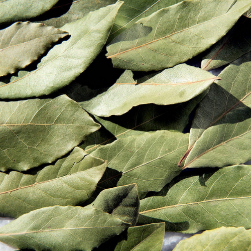 Selected Bay Leaves Glass Jar