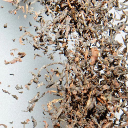 Black Tea - Japan
