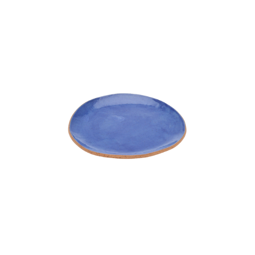 Appetizer Plate | Blue