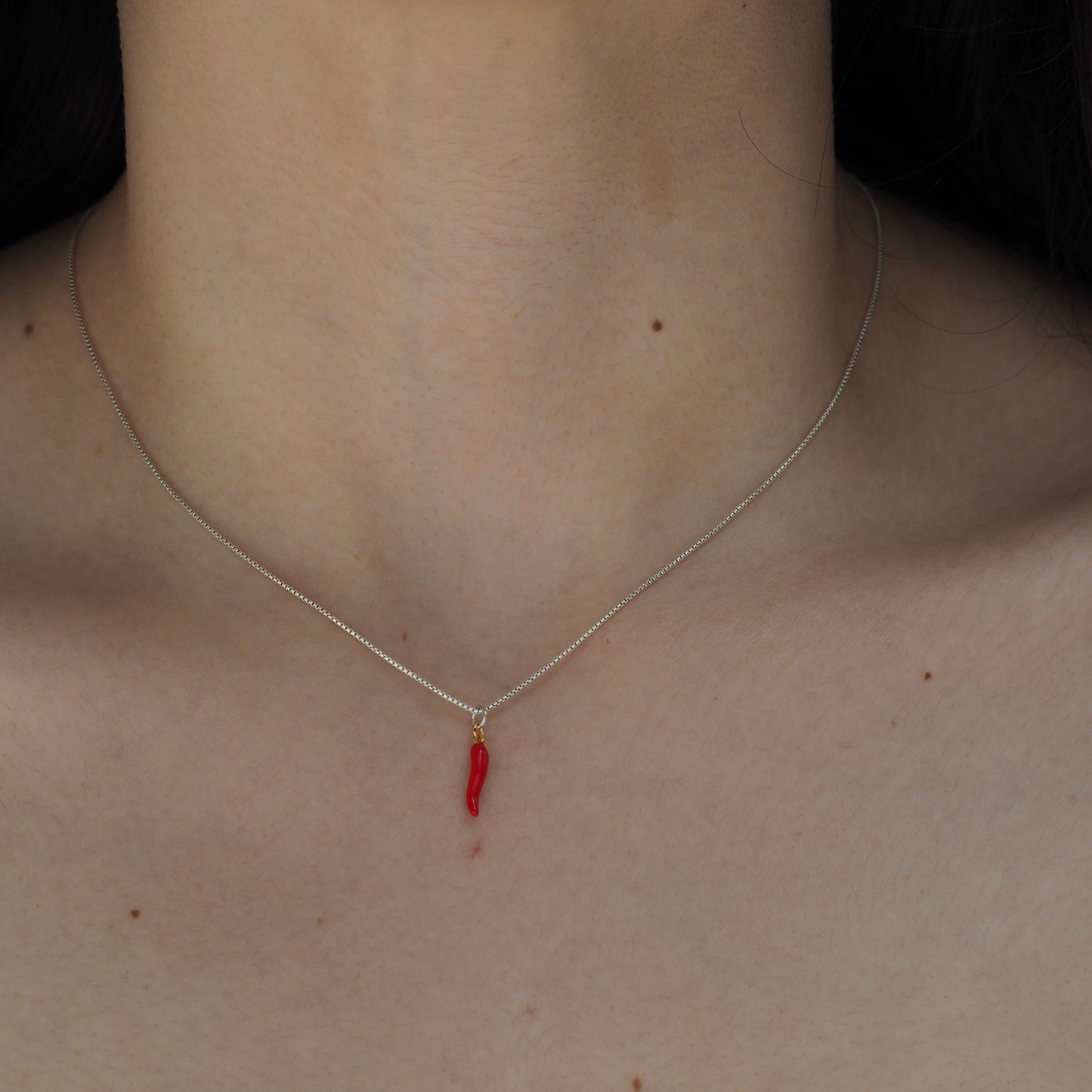 Silver Necklace & Charms