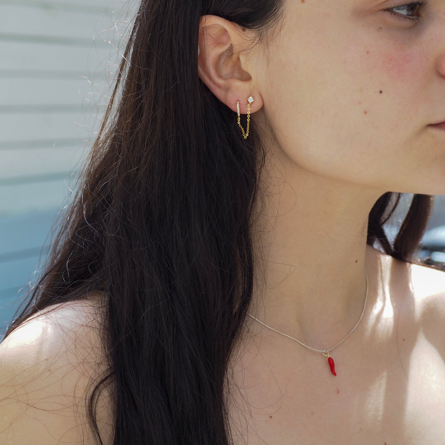 Silver Necklace & Charms