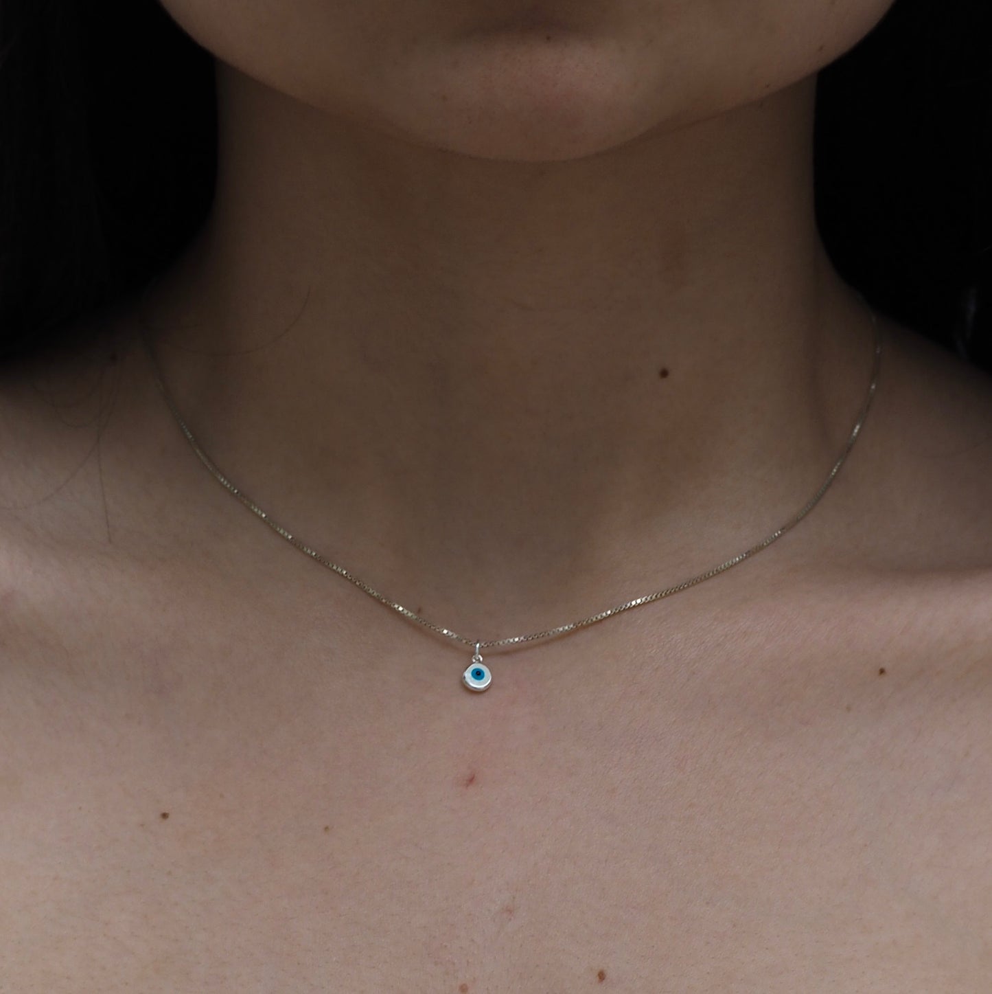 Silver Necklace & Charms