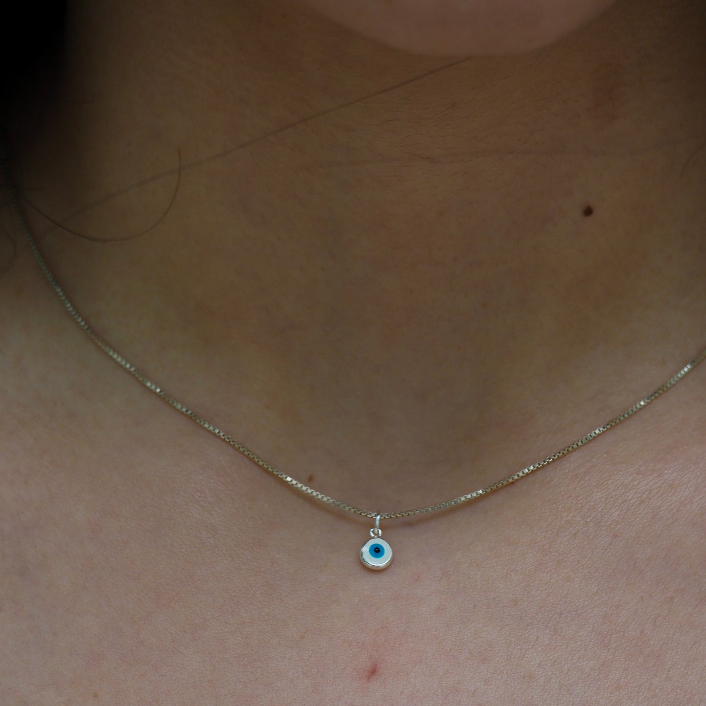 Silver Necklace & Charms