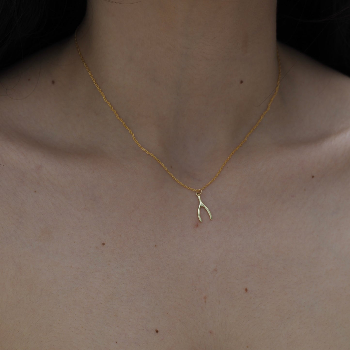 Gold Necklace & Charms