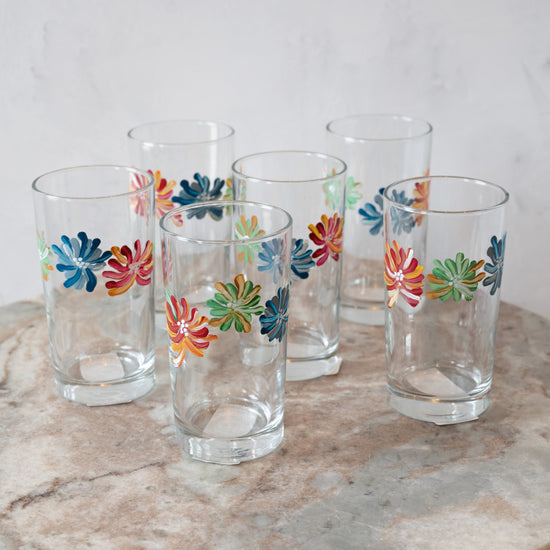 Hand Painted Highball Glass - Set of 6