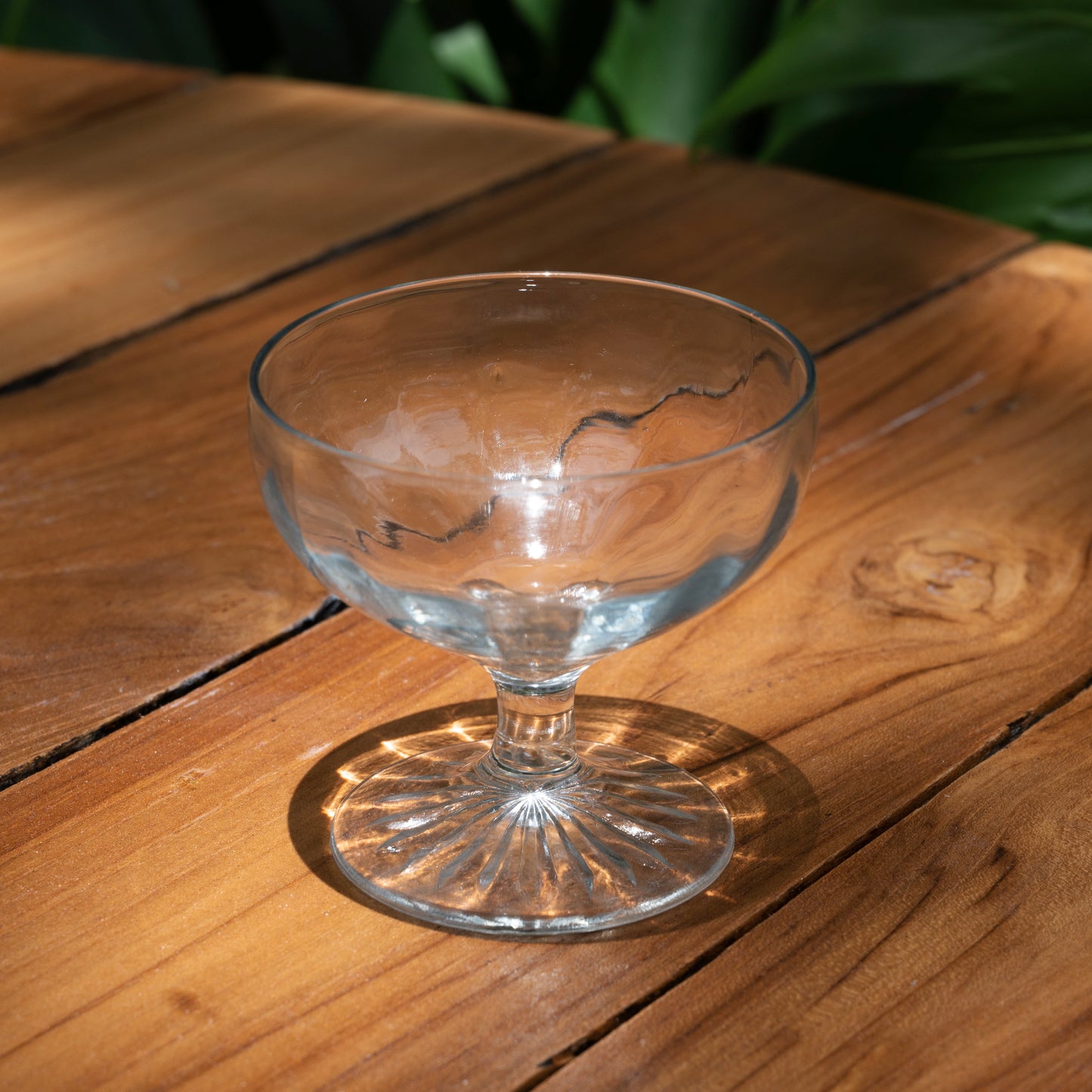 Etched Coupe Glasses - Vintage