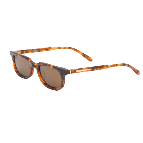 Dario Turtle Dark - Brown Lens