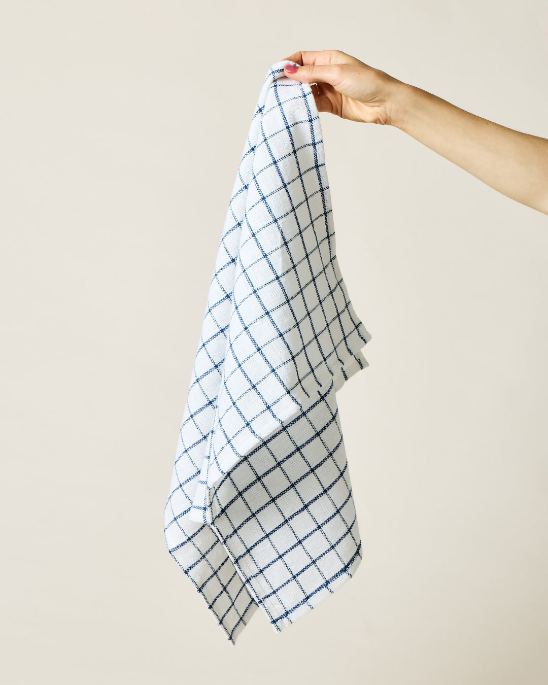 Pantry Cotton Check Kitchen Towels