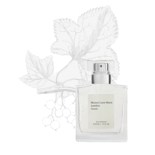 MLM Eau De Parfum | Antidris Cassis