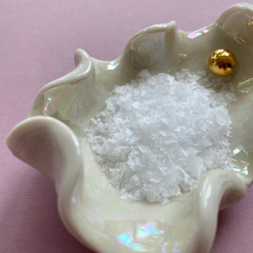 Porcelain Oyster Shell Pinch Pot