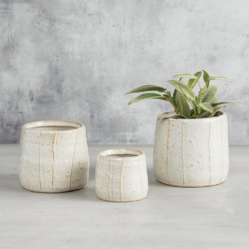 striped planter pot Short Striped Pot