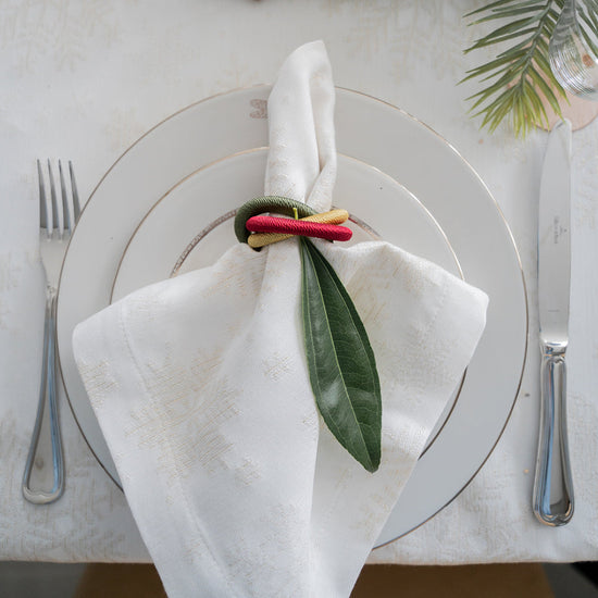 Telluride Napkins - Set of 4