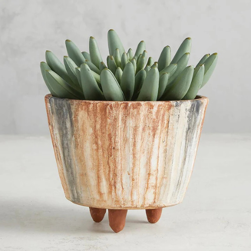 Terracotta Painted Pot