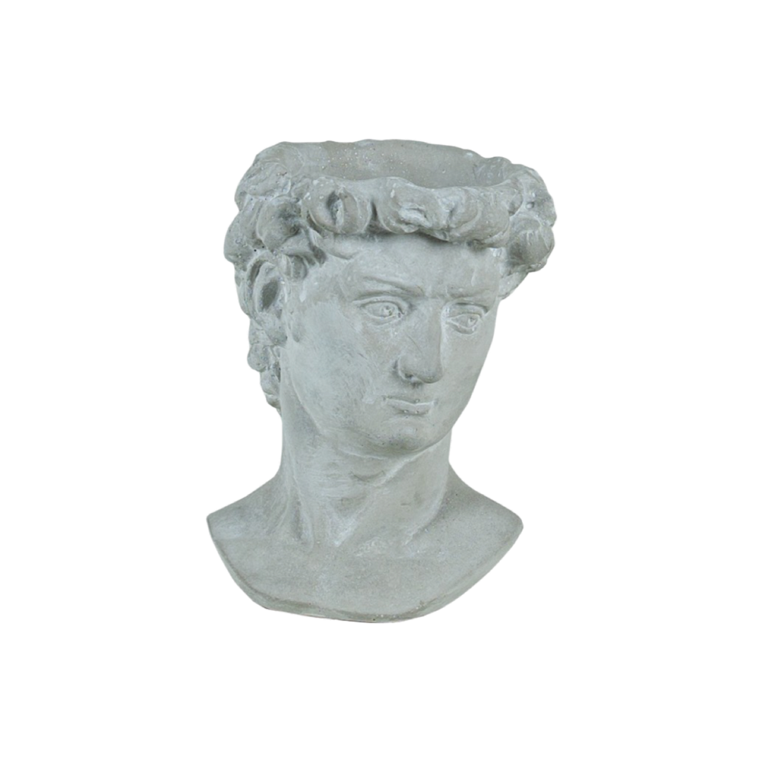 Load image into Gallery viewer, Alexander Head Planter | Small
